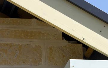 soffit repair Downside
